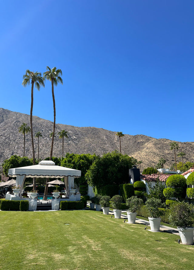 A Faithfull Guide To Palm Springs