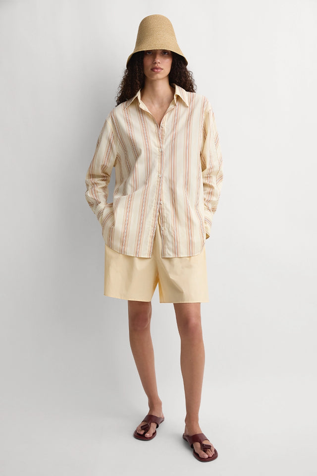 The Stripe Shirt