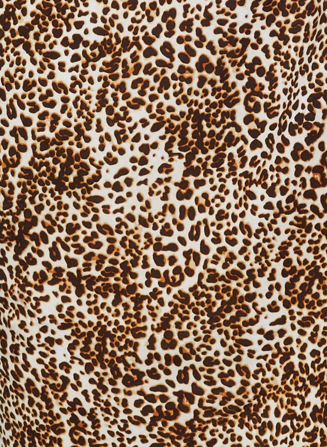 Fontane Mini Dress Charlie Leopard - Final Sale MEMOIRE Mini Dress